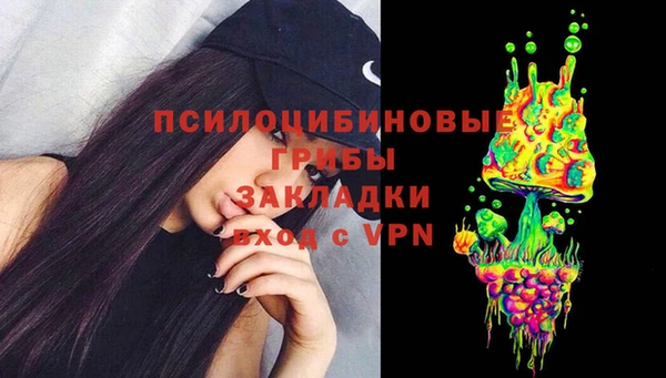 хмурый Киренск